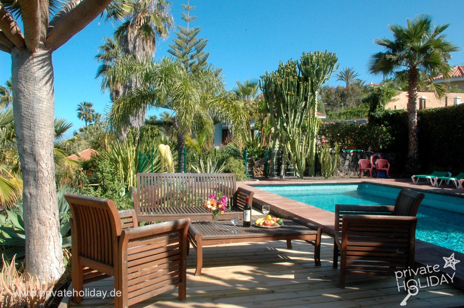 Terrace with pool and palm trees – La Matanza, Tenerife