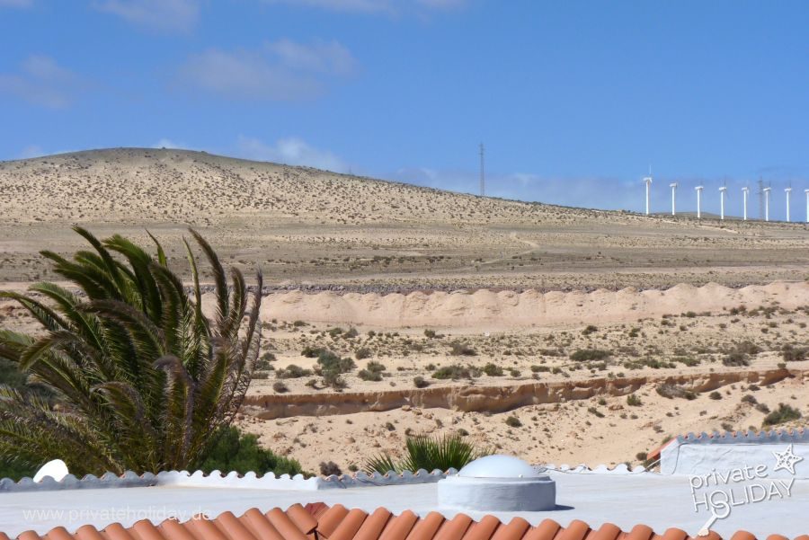 Toit-terrasse avec vue mer et palmiers – Costa Calma, Fuerteventura