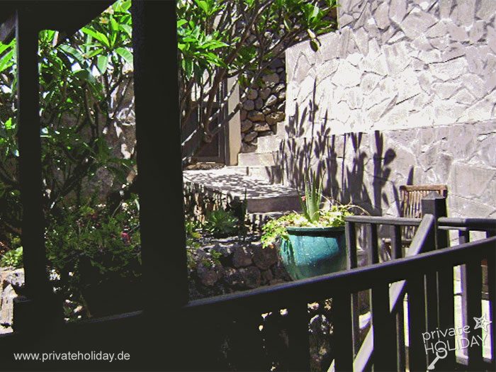 Zona de estar cubierta con plantas y escalera – Igueste de Candelaria, Tenerife