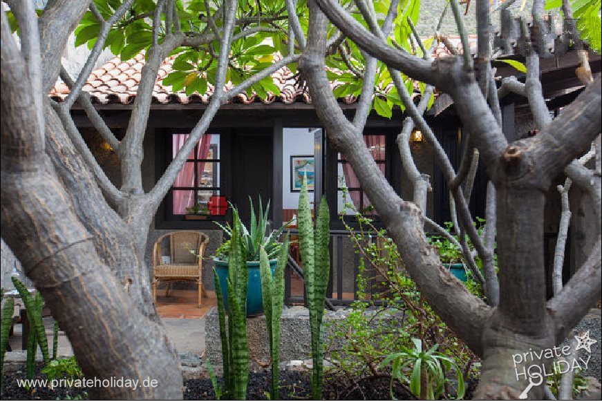 Patio con árboles y zona de estar – Igueste de Candelaria, Tenerife
