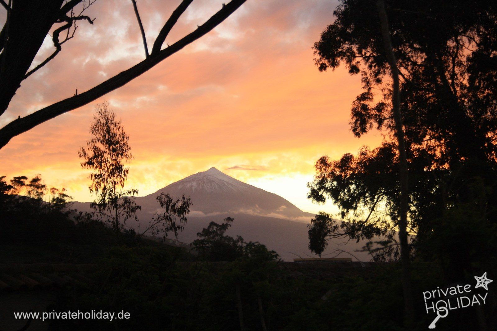 Volcan au coucher du soleil derrière les arbres – Tacoronte, Ténérife