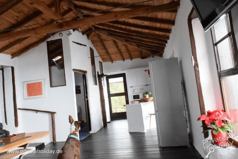 Living area with wood ceiling and open kitchen – Icod de los Vinos, Tenerife